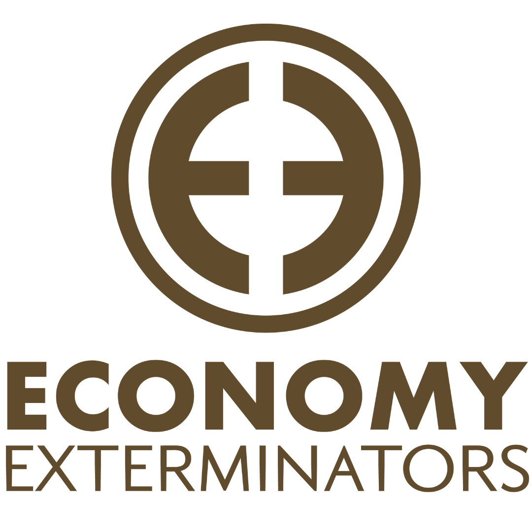 EE 11 Website logo